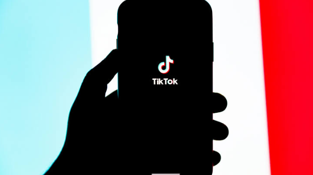 Find a TikTok Account by Picture After Losing the Username